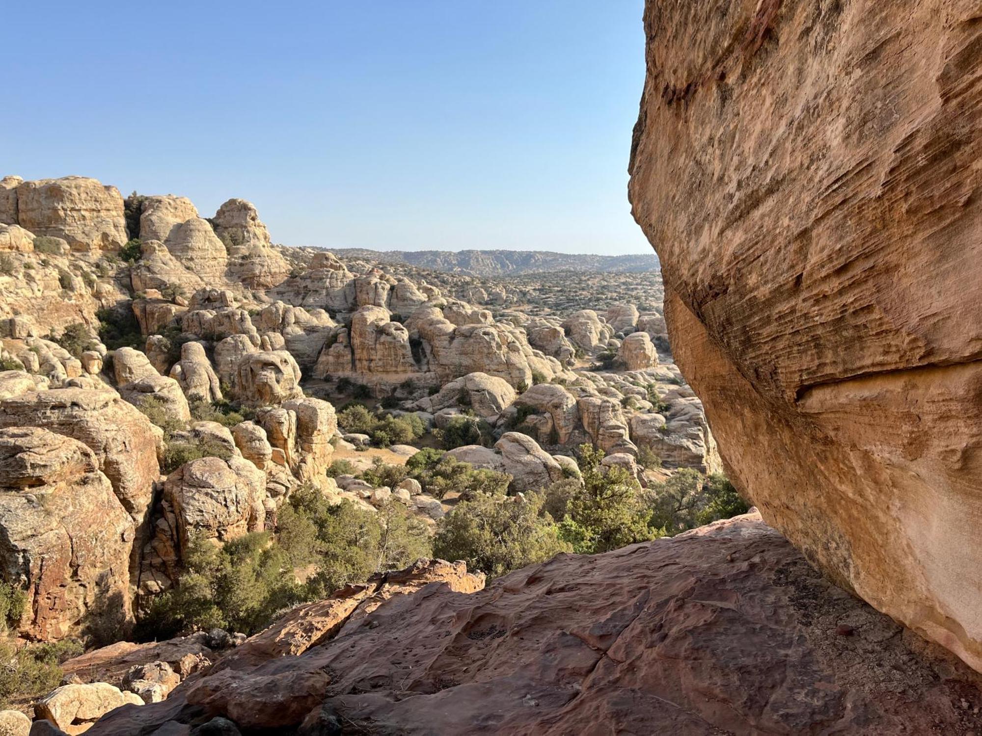 Al-Nawatef Eco Camp- Dana Nature Reserve Extérieur photo