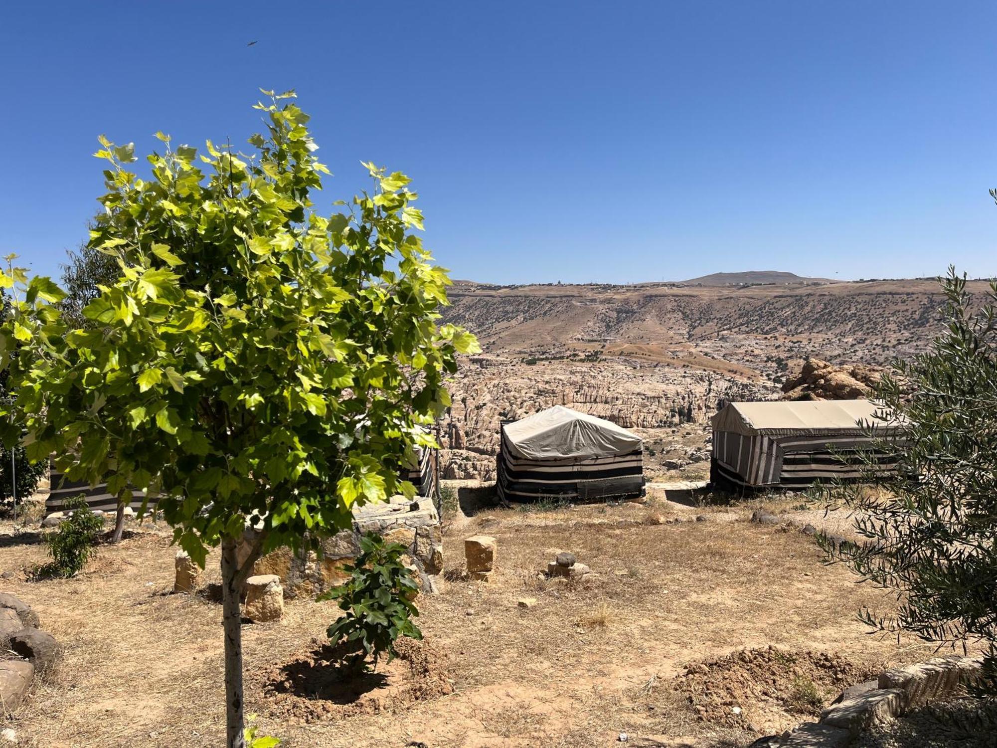 Al-Nawatef Eco Camp- Dana Nature Reserve Extérieur photo