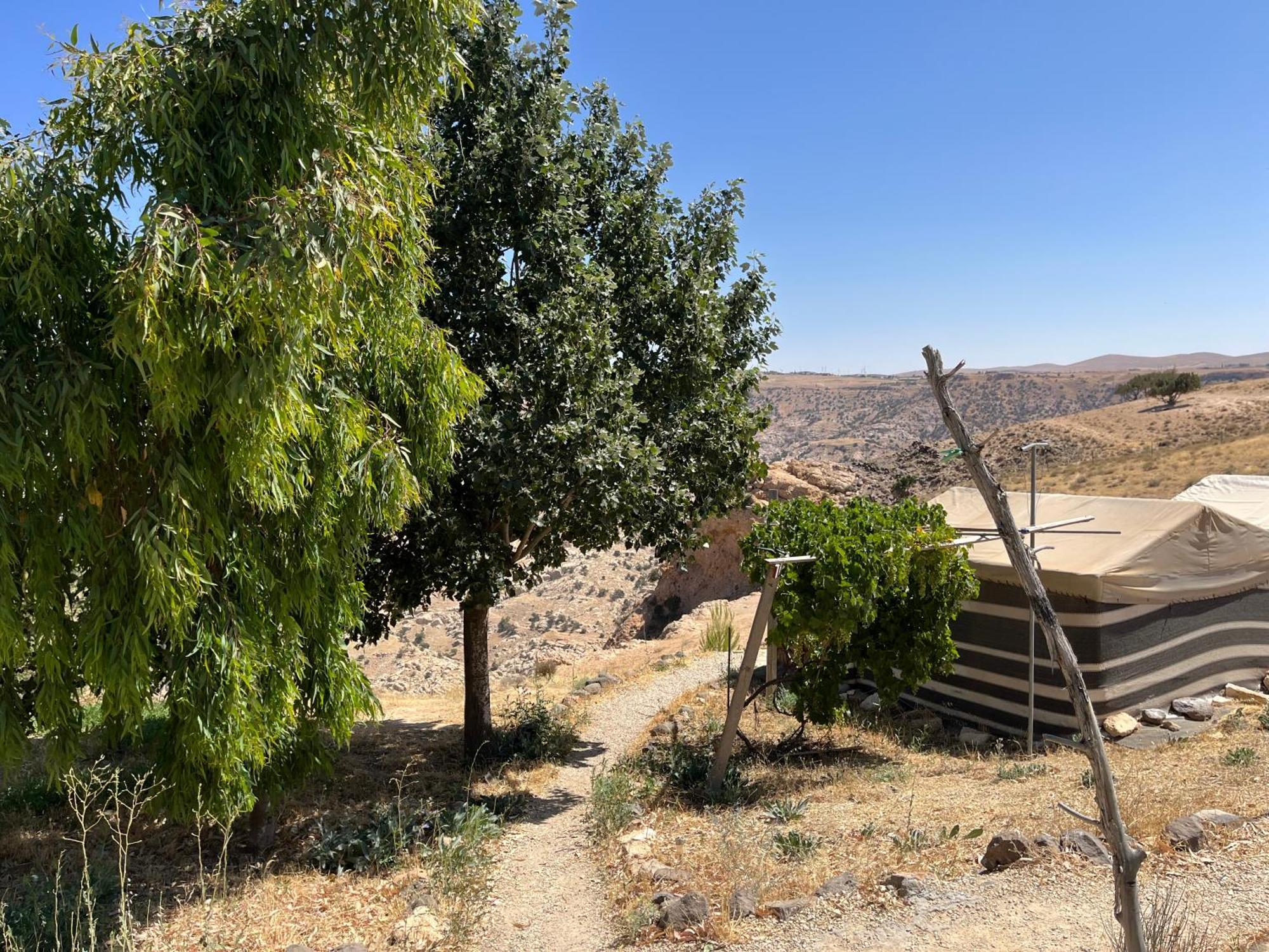 Al-Nawatef Eco Camp- Dana Nature Reserve Extérieur photo